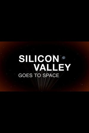 Silicon Valley Goes to Space (2013) poster