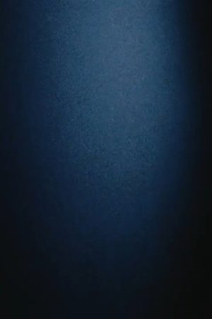 Coda I (2013) poster