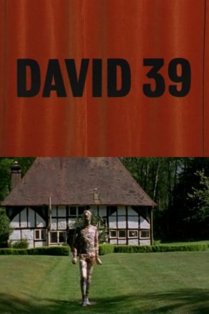 David 39 (2006) poster