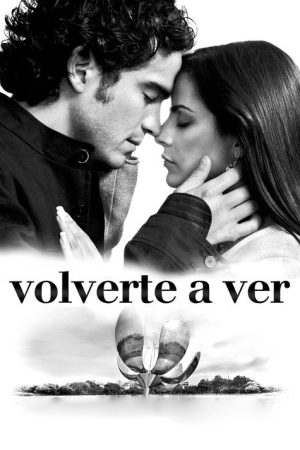 Volverte a ver (2008) poster