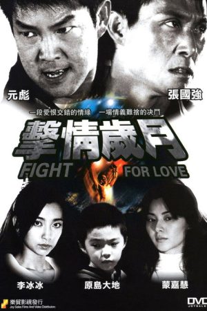 Fight for Love (2007) poster