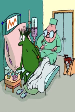 Baubas’s Illness (2006) poster