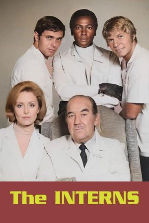 The Interns (1970) poster