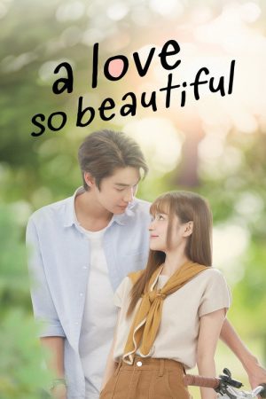 A Love So Beautiful (2024) poster