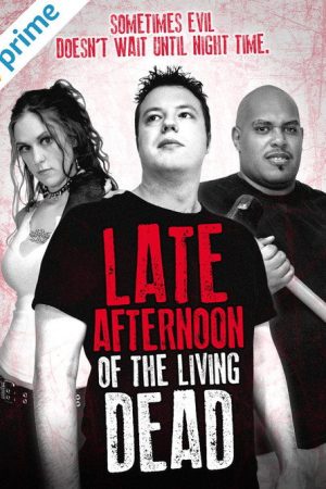 Late Afternoon of the Living Dead (2007) poster