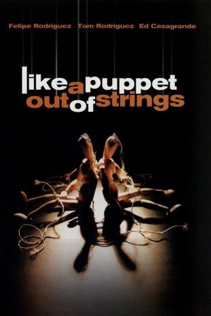 Like a Puppet Out of Strings (2006) poster