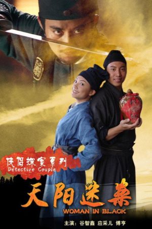 侠侣探案之天阳迷案 (2007) poster