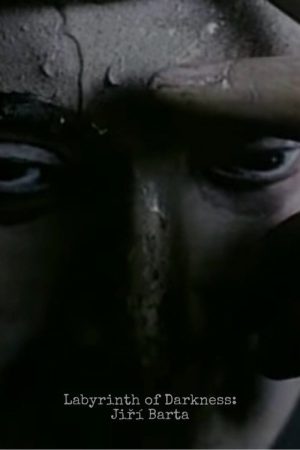 Labyrinth of Darkness: Jiri Barta (2006) poster