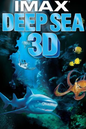 Deep Sea 3D (2006) poster