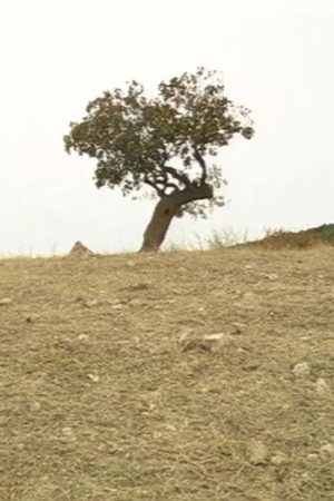 Any Time in October (2006) poster