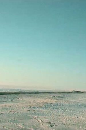 Elements (2005) poster