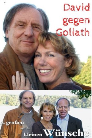 Die großen und die kleinen Wünsche – David gegen Goliath (2007) poster