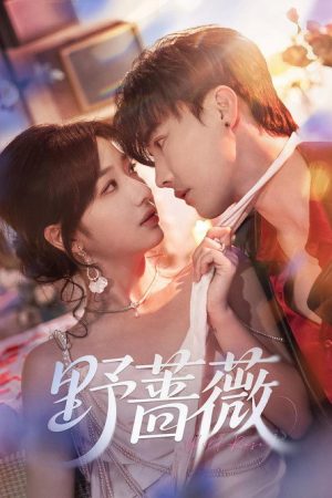 野蔷薇 (2025) poster