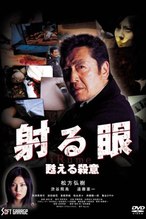 The Piercing Gaze 2: The Resurgent Murderous Intent (2006) poster
