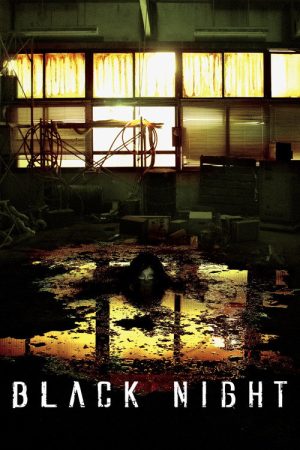 Black Night (2006) poster
