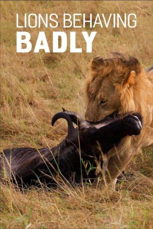 Lions Behaving Badly (2005) poster