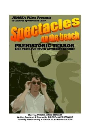 Spectacles on the Beach (2009) poster