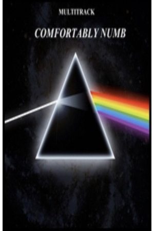 Pink Floyd – Comfortably Numb (2005) poster