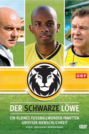 Der schwarze Löwe (2008) poster