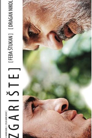 The Ruin (2009) poster