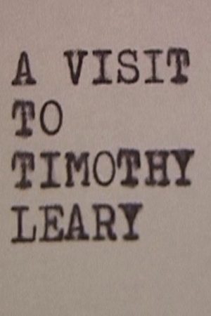 A Visit to Timothy Leary (2006) poster