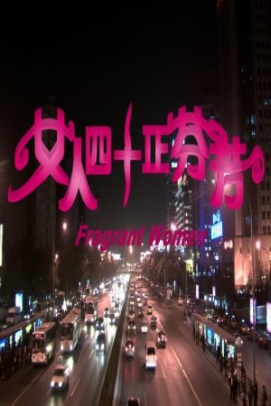 女人四十正芬芳 (2005) poster