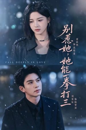 别惹她，她能一拳打三 (2026) poster