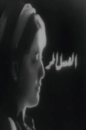 العسل المر (1966) poster