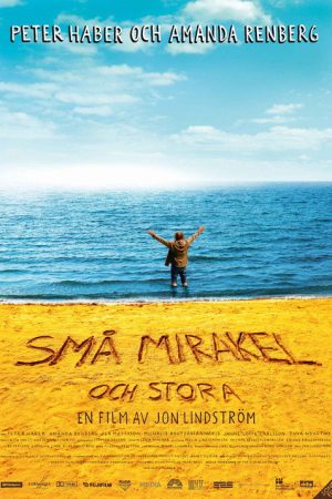 All it Takes is a Miracle (2006) poster