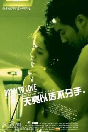 Down to Love (2006) poster