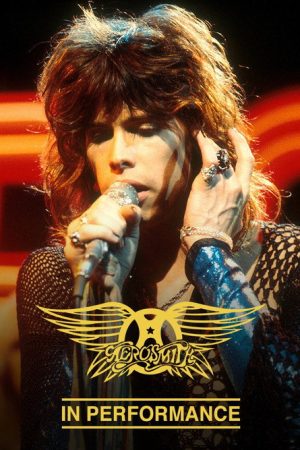 Aerosmith in Performance (2007) poster