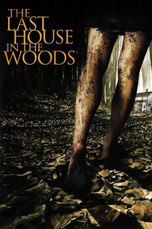 The Last House in the Woods (2006) poster