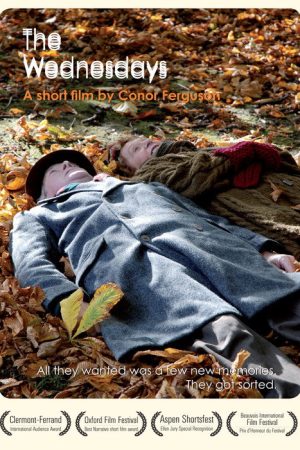 The Wednesdays (2007) poster