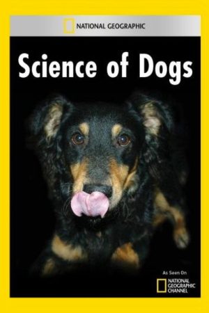 National Geographic Explorer: Science of Dogs (2007) poster