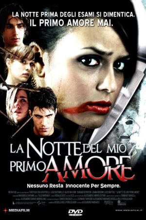 La notte del mio primo amore (2006) poster
