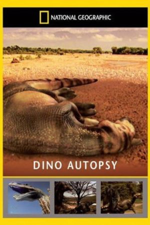 Dino Autopsy (2007) poster
