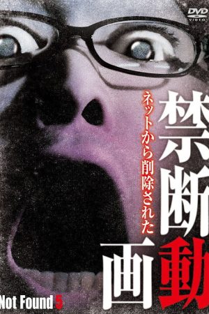 Not Found 5 (2012) poster