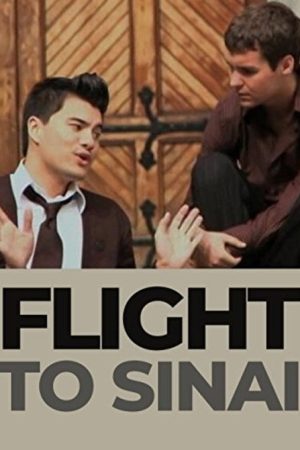 Flight to Sinai (2009) poster