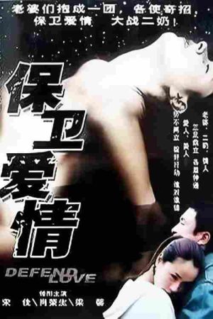 保卫爱情 (2003) poster