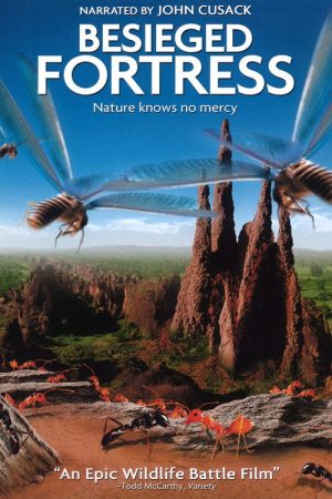 The Besieged Fortress (2006) poster