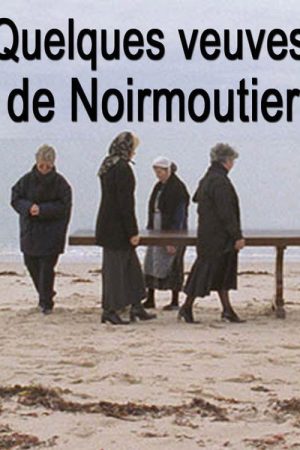 Some Widows of Noirmoutier (2006) poster