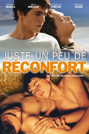 A Little Comfort (2004) poster