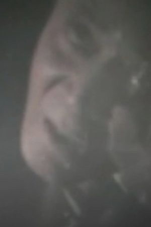 Self-Portrait (2006) poster