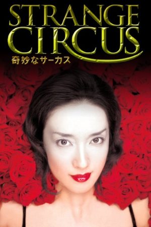 Strange Circus (2005) poster