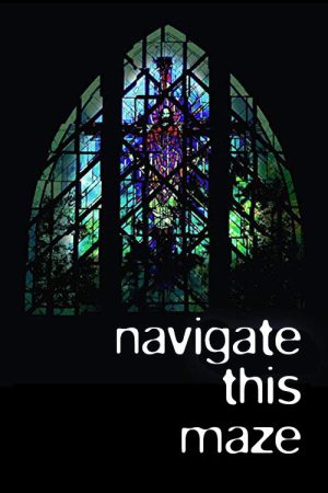 Navigate This Maze (2007) poster