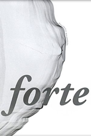 Forte (2005) poster