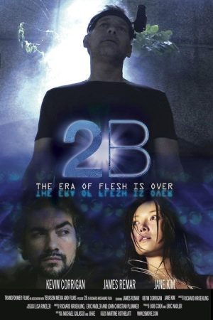 2B (2009) poster