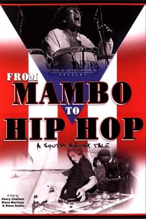 From Mambo to Hip Hop (2007) poster