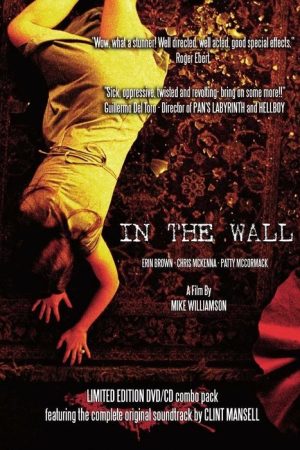 In the Wall (2007) poster