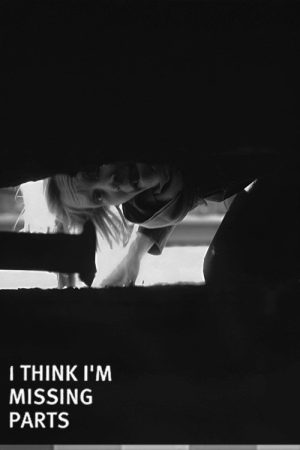 I Think I’m Missing Parts (2007) poster